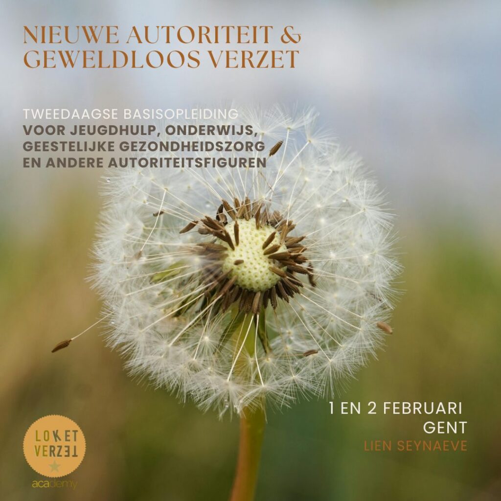 Groep professionals in gesprek tijdens basisopleiding Nieuwe Autoriteit en Geweldloos Verzet in Hof-in Ham Gent
